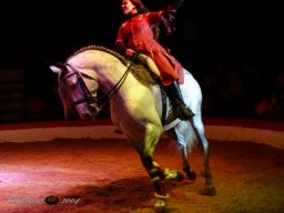 Circus YAKARI Show am 04.10.2024